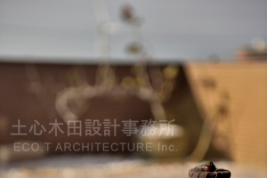 竹南-林宅(Villa)